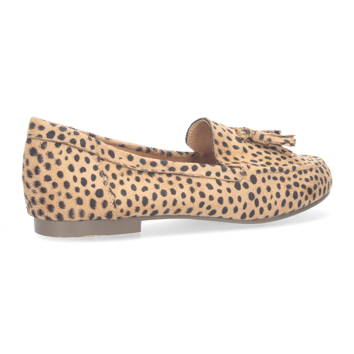 1AS-0170-Leopardo