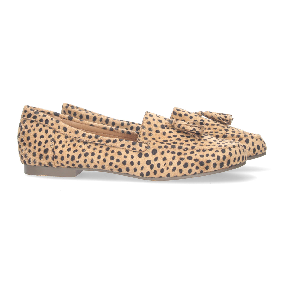 1AS-0170-Leopardo