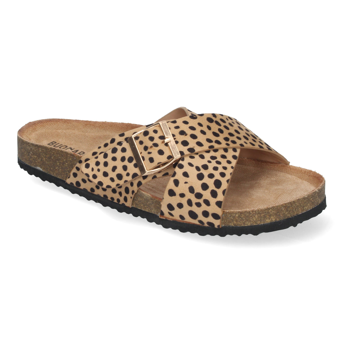 AY-2239-Leopardo