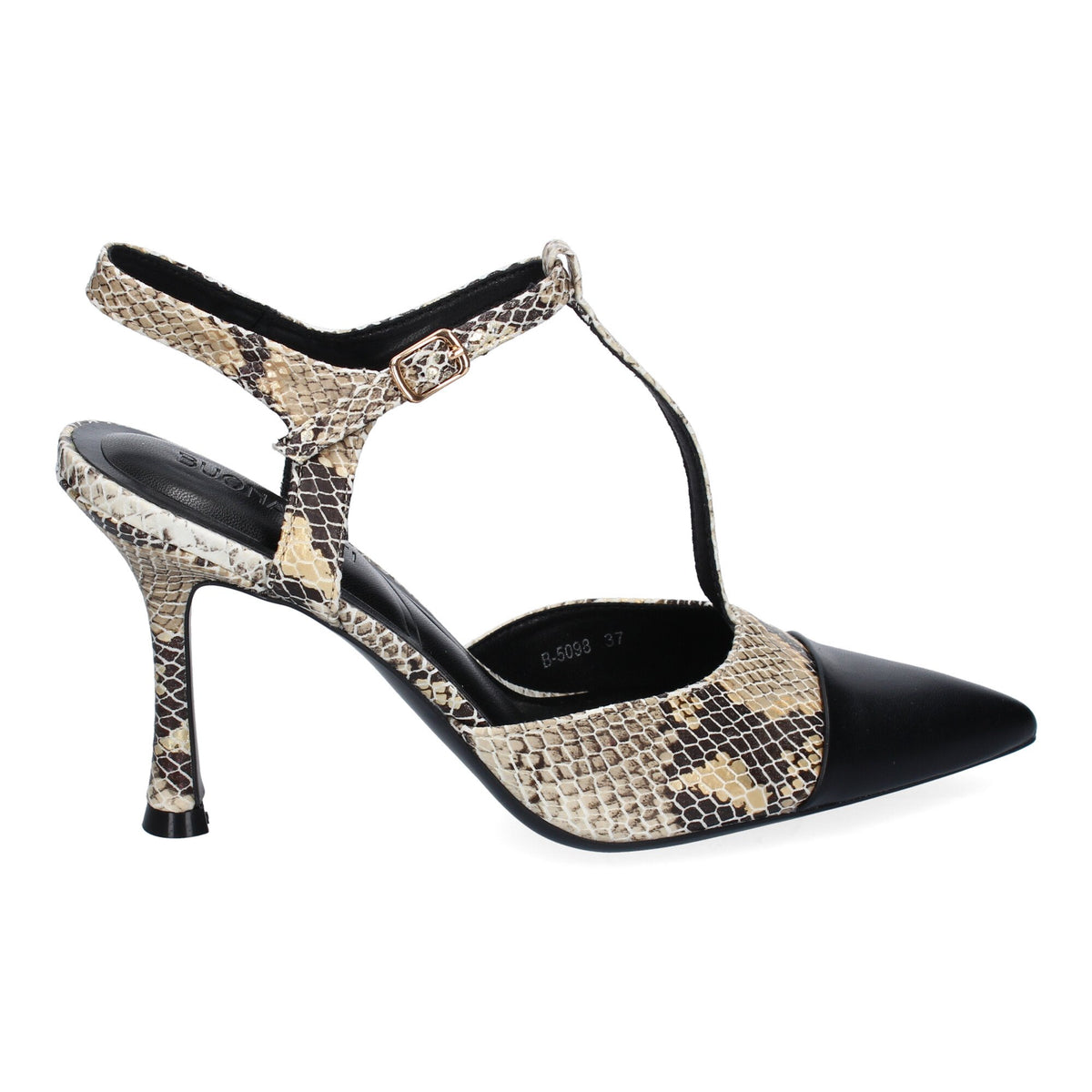 B-5098-Serpiente