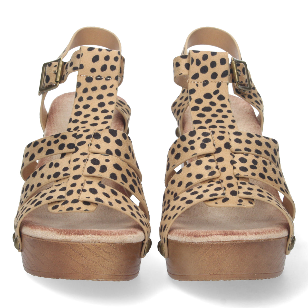 DB-2353-Leopardo