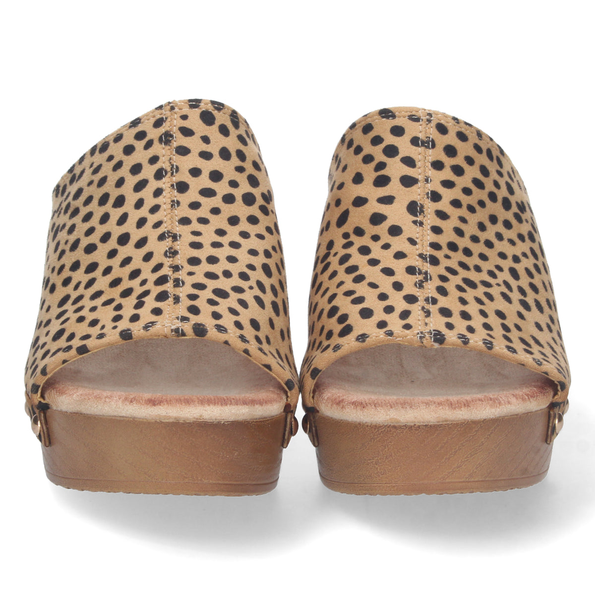 DB-2355-Leopardo