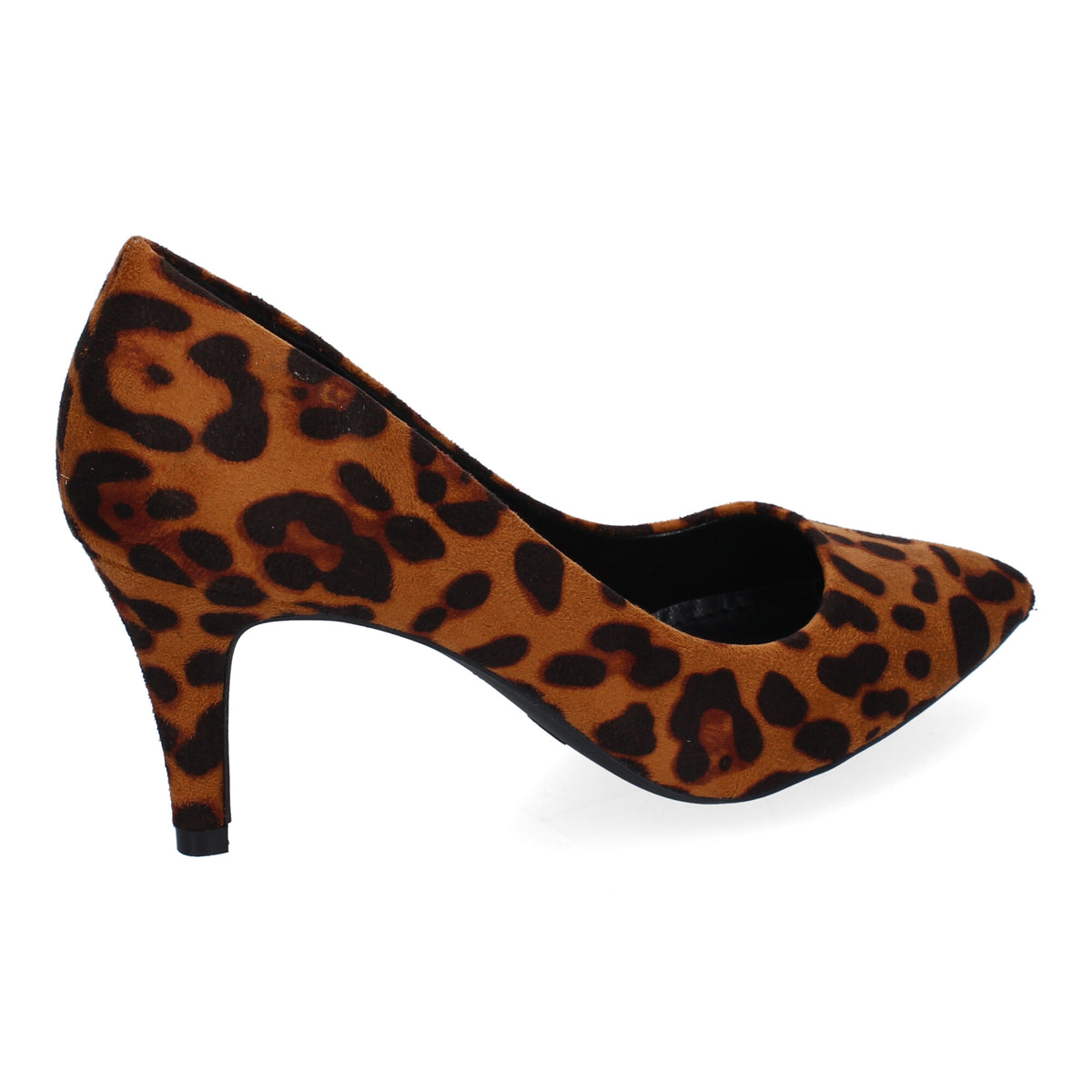 LL672-Leopardo